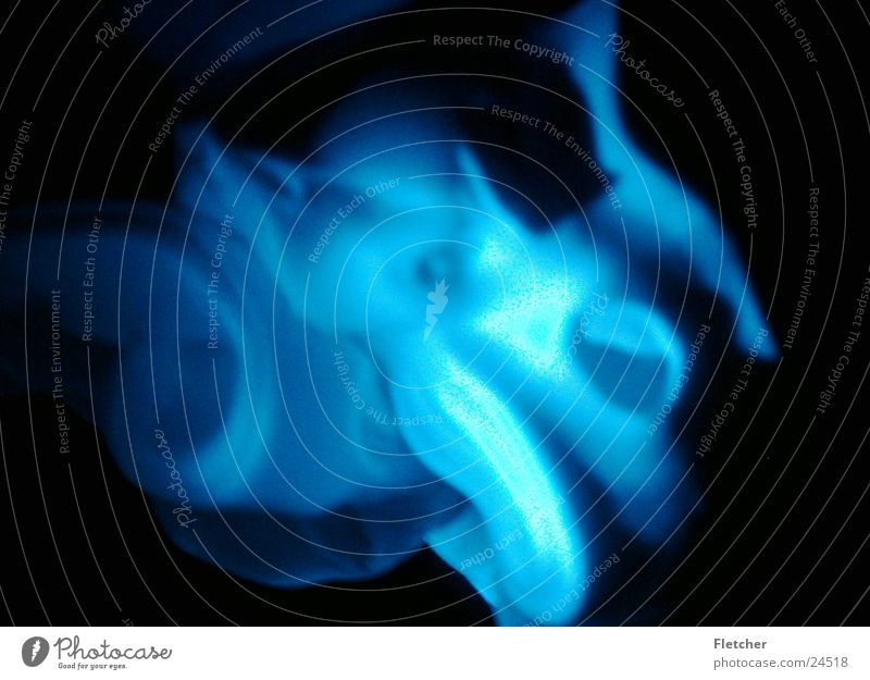 foam1 Foam Dark Pattern Strange Soft Photographic technology Bright Blue Structures and shapes