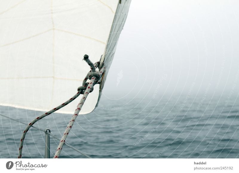 fog Sailing Ocean Aquatics Water Weather Wind Fog Baltic Sea Navigation Sport boats Yacht Sailboat Sailing ship Threat Blue White Dew Knot Waves Horizon