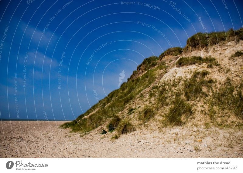 DENMARK - I Environment Nature Landscape Plant Air Water Sky Clouds Horizon Summer Beautiful weather Wind Grass Bushes Moss Coast Beach North Sea Exceptional