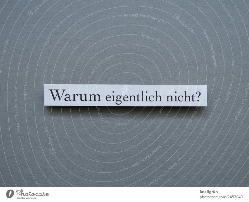 Why not? Ask Curiosity Interest think ponder Emotions brood Letters (alphabet) Word leap letter Text Latin alphabet Characters Language Typography