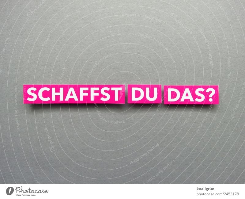 CAN YOU DO IT? Characters Signs and labeling Communicate Gray Pink White Emotions Willpower Brave Determination Curiosity Interest Surprise Concern Beginning