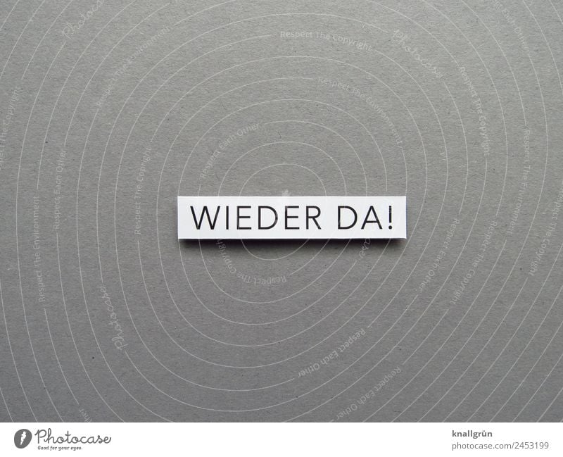 Back again! Surprise Text Communication Backward Return Expectation Word Letters (alphabet) Characters Signs and labeling Compromise Communicate Colour photo