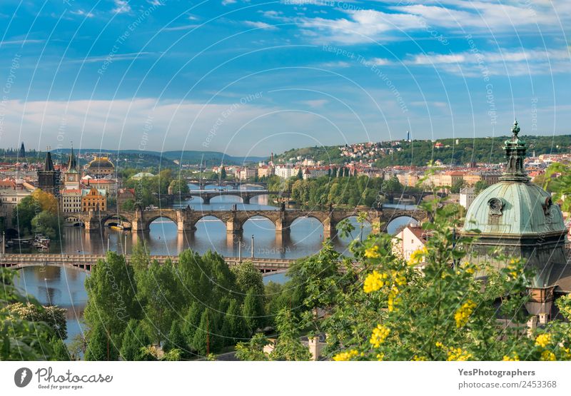 Vltava river with great bridges in Prague Beautiful Vacation & Travel Summer Art Landscape Beautiful weather Tree Flower Old town Bridge Building Architecture