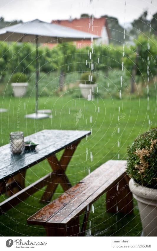 summer weather Garden Table Bad weather Rain Park Meadow Wood Wet Brown Green Outdoor furniture "bank meadow," Bench Sunshade Cold Dank Colour photo