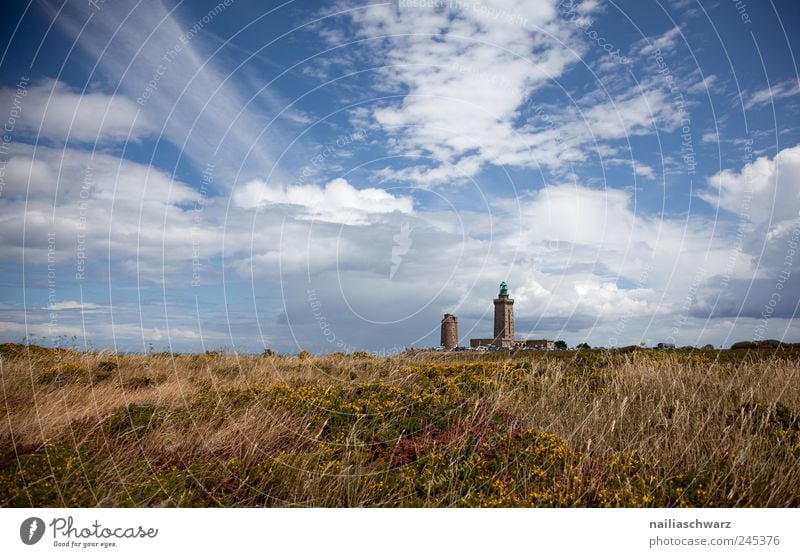 Cap Frehel Nature Landscape Sky Clouds Summer Beautiful weather Grass Bushes Bog Marsh Heathland Europe Manmade structures Building Lighthouse Navigation