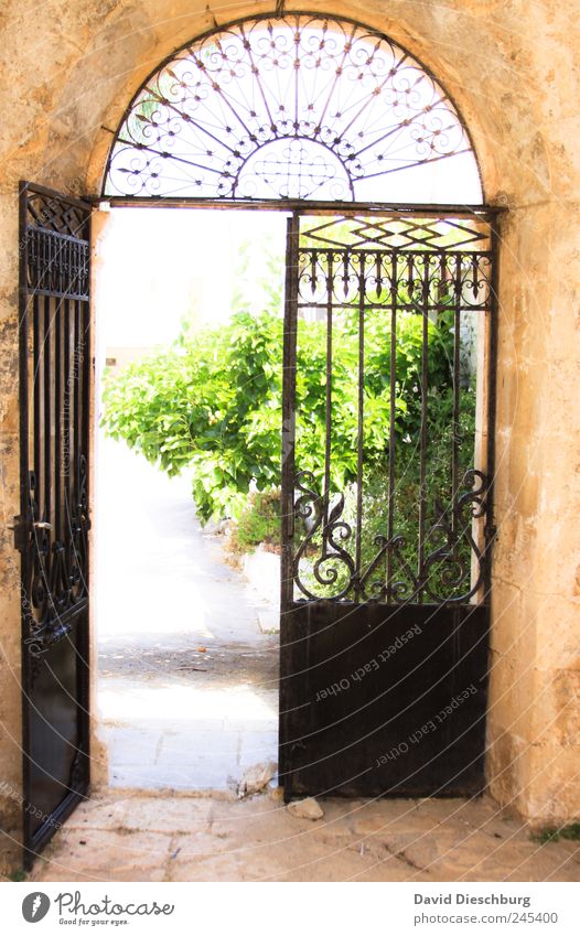 The door to the paradise Plant Summer Foliage plant Garden Park Door Blue Brown Green Gate Open Colour photo Exterior shot Structures and shapes Deserted Day