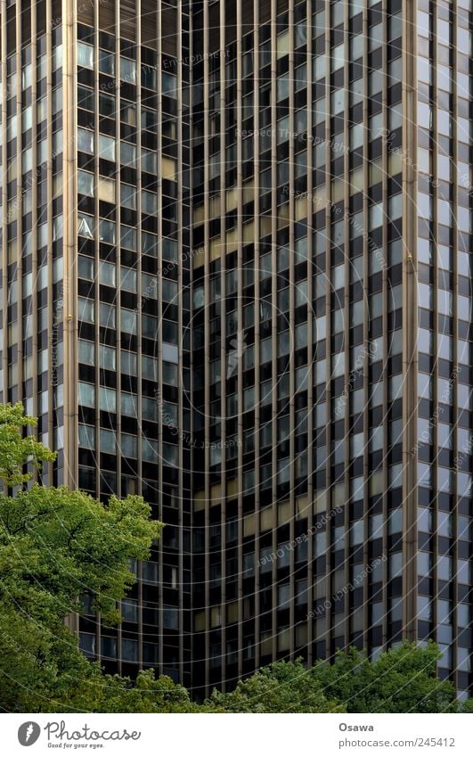 Berlin Steglitz steglitz Gyroscope High-rise Facade Window Glass Building Office building Tree Leaf Green Gray Deserted Architecture