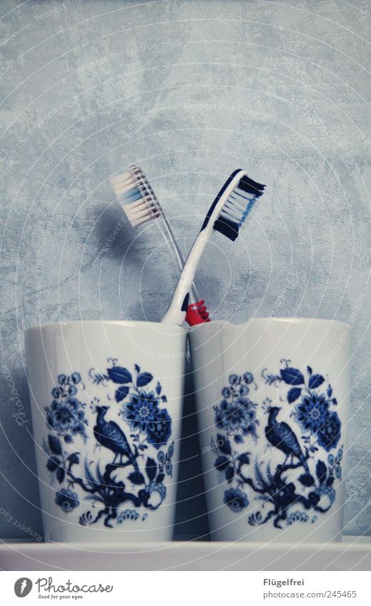 Symmetry sucks Toothbrush Trashy Ornate Porcelain Toothbrush mug Couple 2 Together Peacock Flowery pattern Wallpaper Blue Cross Equal individuality Dental care