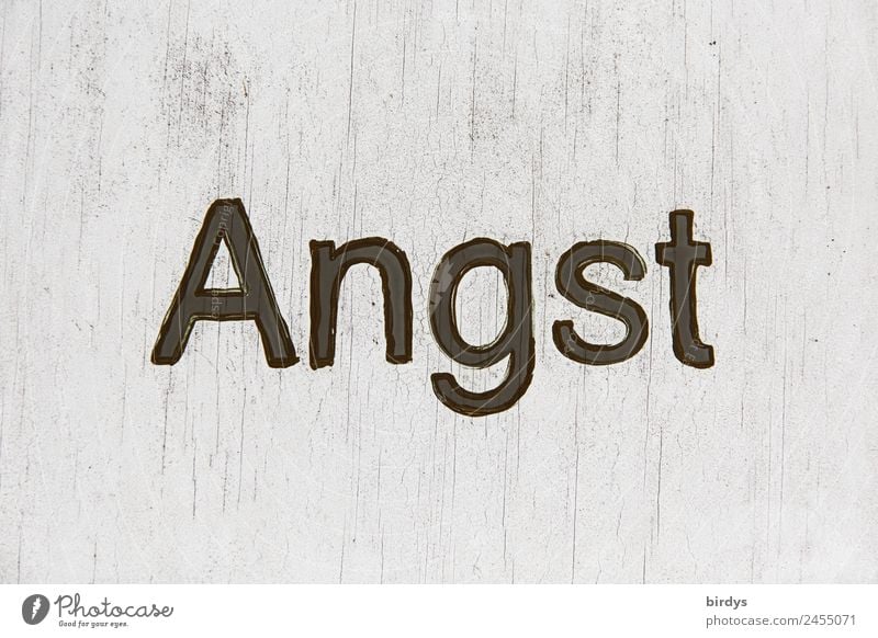 Fear , black writing on gray background Characters Threat Concern Inhibition Fear of death fear of living Fear of the future Stress psyche Distress Jealousy