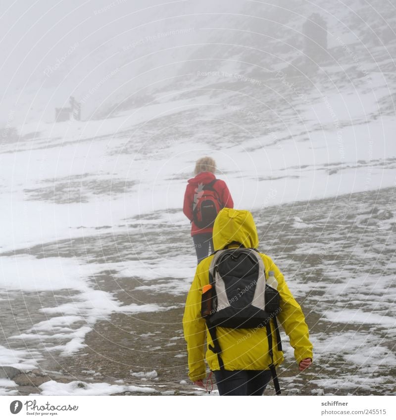 Snow - that's the summit! 2 Human being Nature Bad weather Gale Fog Ice Frost Rock Alps Mountain Snowcapped peak Hiking Threat Masked Exterior shot