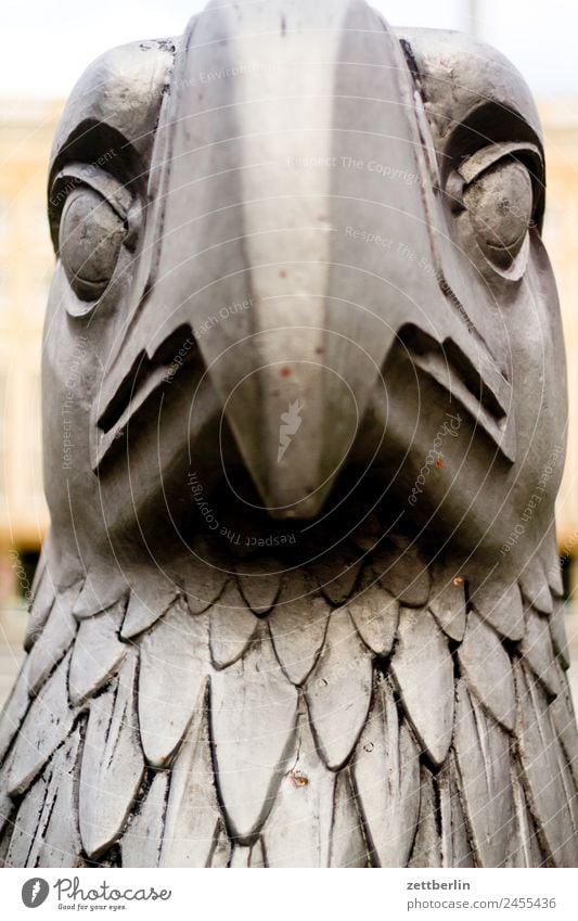 Eagle from the front Berlin Airport Airfield Airport Berlin-Tempelhof Heraldic animal Coat of arms Reichstag Landmark Bird Animal portrait Statue Bronze