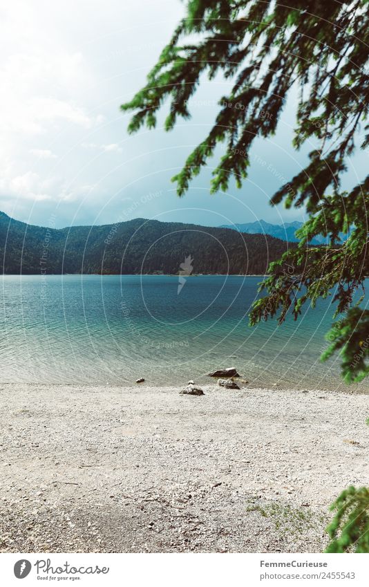 Unbelievably beautiful crystal clear mountain lake in the alps Nature Landscape Water Alps Mountain lake Clarity Swimming lake Lake Coniferous forest