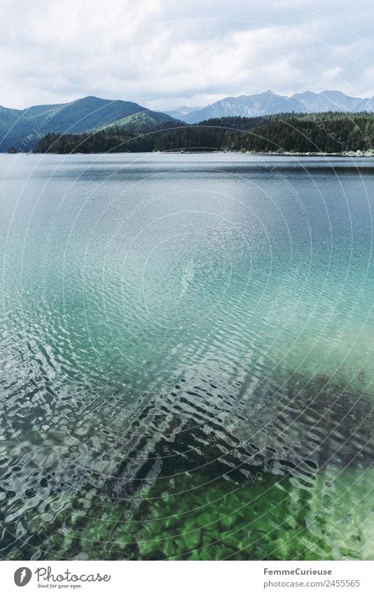 Mountain lake with cristal clear water in the alps Nature Lake Alps Clarity Turquoise Water Colour photo Exterior shot Deserted Copy Space middle