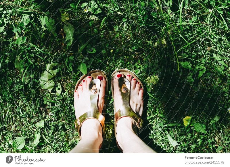 Feet of a woman wearing sandals Leisure and hobbies Sandal Shuffle Glittering Lawn Meadow Nail polish Sunbeam Summer Summery Footwear Garden Park Colour photo