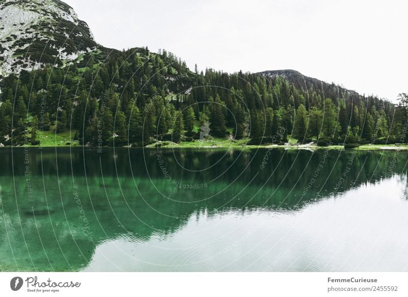 Beautiful cristal clear mountain lake in the alps Nature Landscape Idyll Mountain lake Alps Coniferous trees Coniferous forest Clarity Turquoise Lake