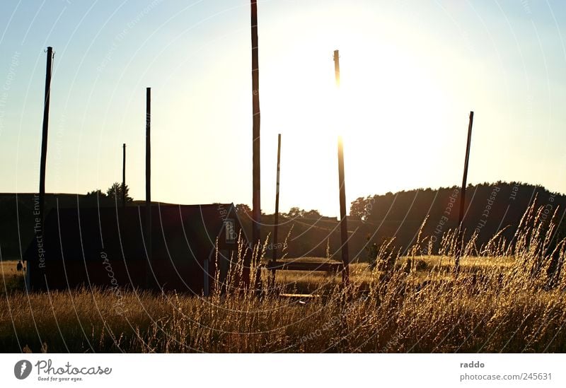 Fisherman's House Sun House (Residential Structure) Nature Sunrise Sunset Sunlight Summer Beautiful weather Grain Grain field Fishing village Hut Wooden house