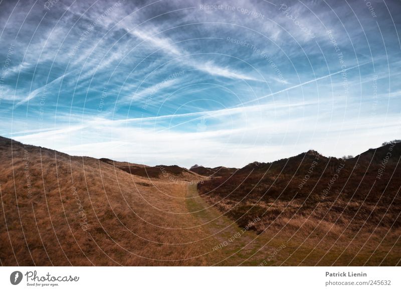 Spiekeroog | You are a tourist Leisure and hobbies Vacation & Travel Tourism Trip Far-off places Freedom Environment Nature Landscape Plant Sky Clouds Sunlight