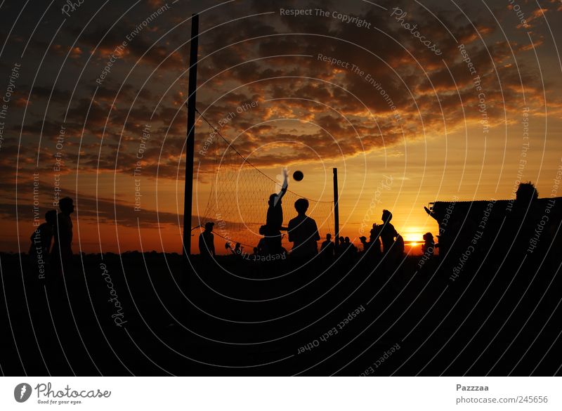 Sports in the evening Summer vacation Volleyball Team Group Sunlight Beautiful weather Playing Joy Bolivia Pampa Colour photo Exterior shot Copy Space bottom