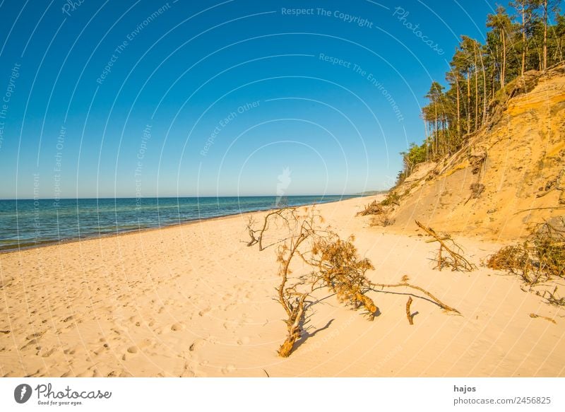 Baltic Sea beach in Poland Vacation & Travel Beach Sand Bay Reef Ocean Wild Blue Yellow Baltic beach Lonely Caribbean Beach dune Forest Blue sky Natural