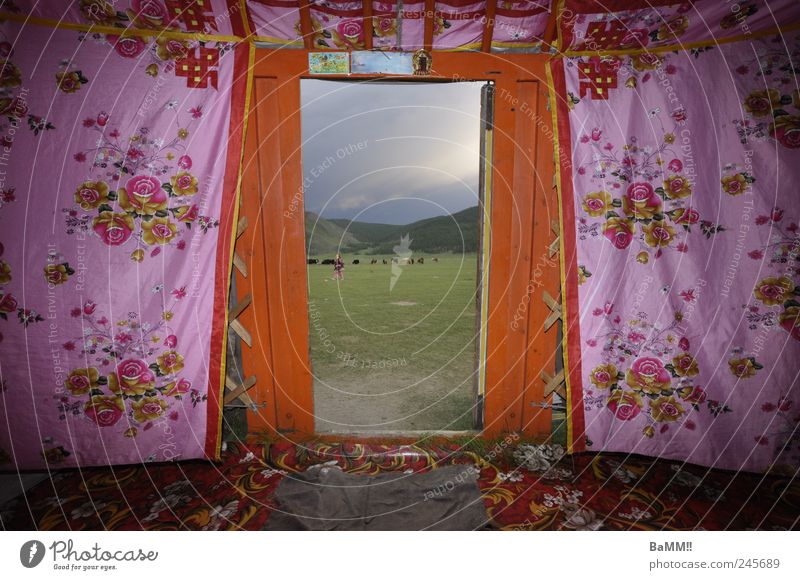 door to the world Adventure Far-off places Living or residing Decoration Hill Steppe Mongolia Hut yurt Door Doormat Herd Kitsch Pink Identity Nomade Freedom