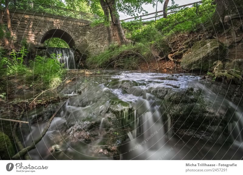 Running water and bridge Tourism Adventure Environment Nature Landscape Water Sun Sunlight Beautiful weather Tree Bushes Forest Brook River Waterfall Bridge