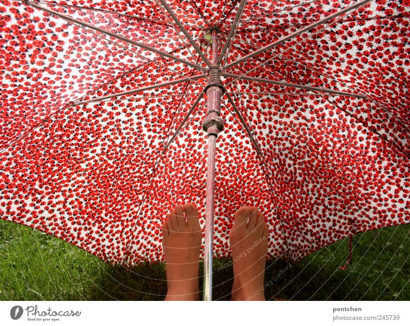 Humor. Woman holding feet under red patterned umbrella Accessory Umbrella Hip & trendy Ladybird Red green Grass Protection Athlete's foot Climate change