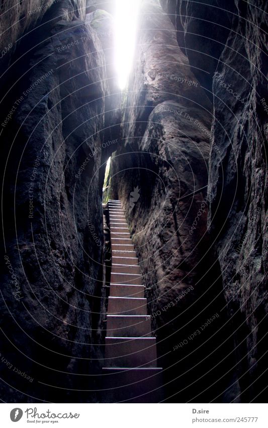 no way out Mountain Hiking Nature Elements Sunlight Hill Rock Saxon Switzerland Deserted Wall (barrier) Wall (building) Stairs Looking Sharp-edged Infinity Tall