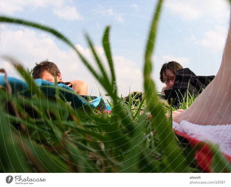 sunbathing lawn Meadow Leisure and hobbies Grass Group Nature Relaxation Sky