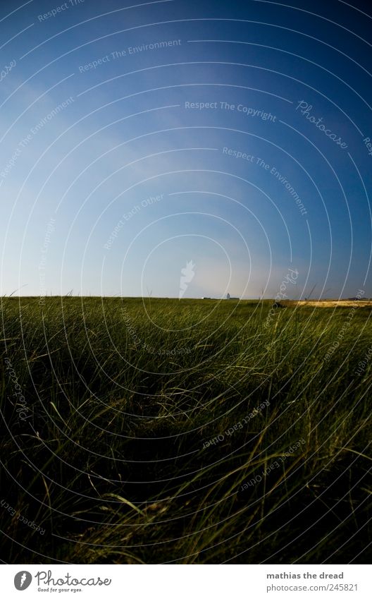 DENMARK - VIII Environment Landscape Plant Air Sky Clouds Horizon Summer Beautiful weather Wind Grass Bushes Moss Meadow Field Deserted