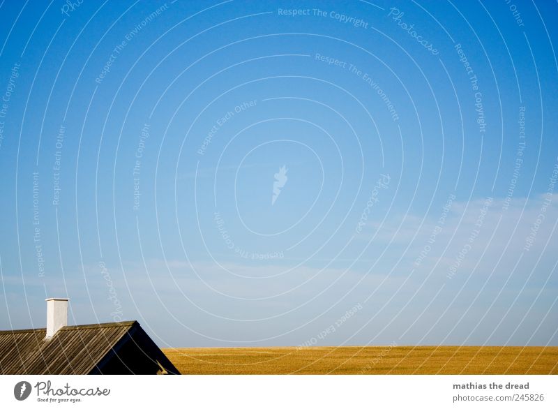 DENMARK - X Environment Nature Landscape Plant Sky Clouds Horizon Summer Beautiful weather Field Deserted House (Residential Structure) Roof Colour photo