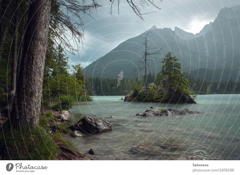 downpour Vacation & Travel Tourism Trip Far-off places Freedom Environment Nature Landscape Water Drops of water Clouds Rain Tree Alps Mountain Coast Lakeside