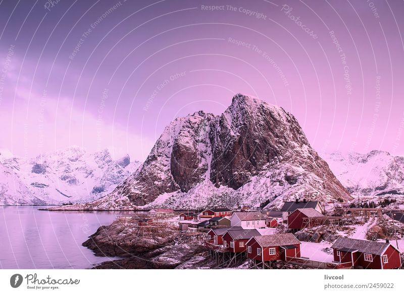 reine-lofoten II Relaxation Calm Vacation & Travel Ocean Island Winter Snow Mountain House (Residential Structure) Nature Landscape Sunrise Sunset Snowfall Tree