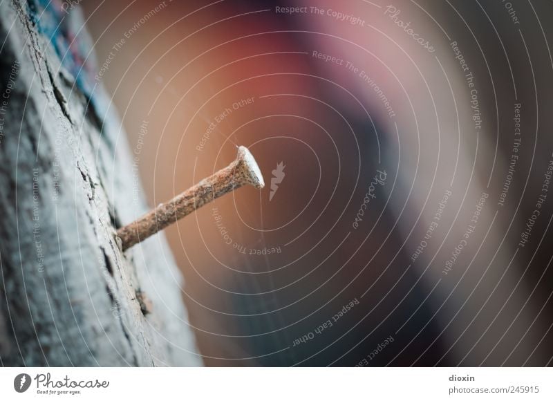 emergency nail Nail ship graveyard Spider's web Wood Metal Old Authentic Decline Past Transience Rust Joist Decompose Colour photo Close-up Detail