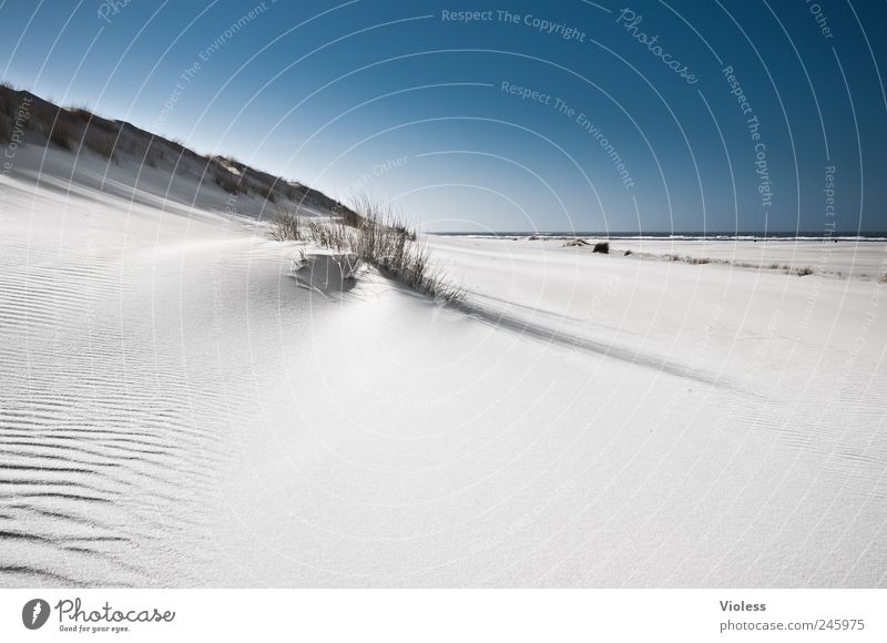 Spiekeroog. White silence. Landscape Sand Sky Sunlight Summer Beach North Sea Island Discover Relaxation Blue Marram grass Beach dune Colour photo Exterior shot