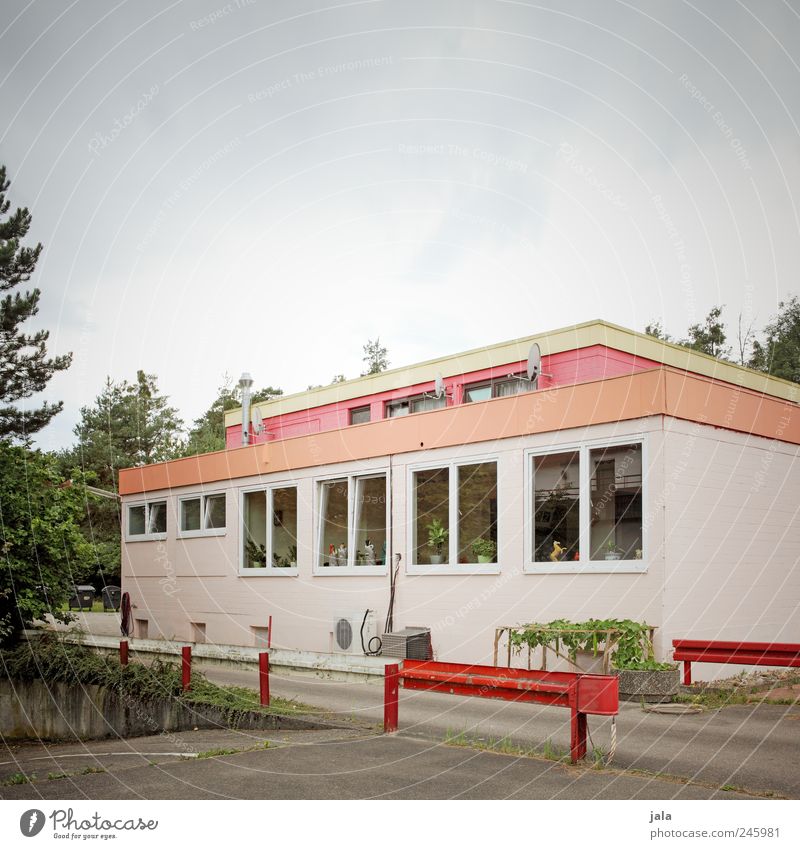 spicy town Sky Plant Tree Foliage plant House (Residential Structure) Manmade structures Building Window Gloomy Pink Red Colour photo Exterior shot Deserted