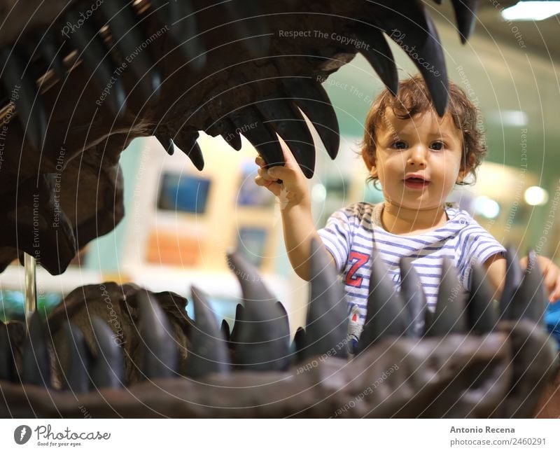 Boy And T Rex skull Playing Human being Baby Toddler Boy (child) Mouth Museum Culture Historic Small Curiosity Cute Dinosaur one year ld 1s young tyrannosaurus