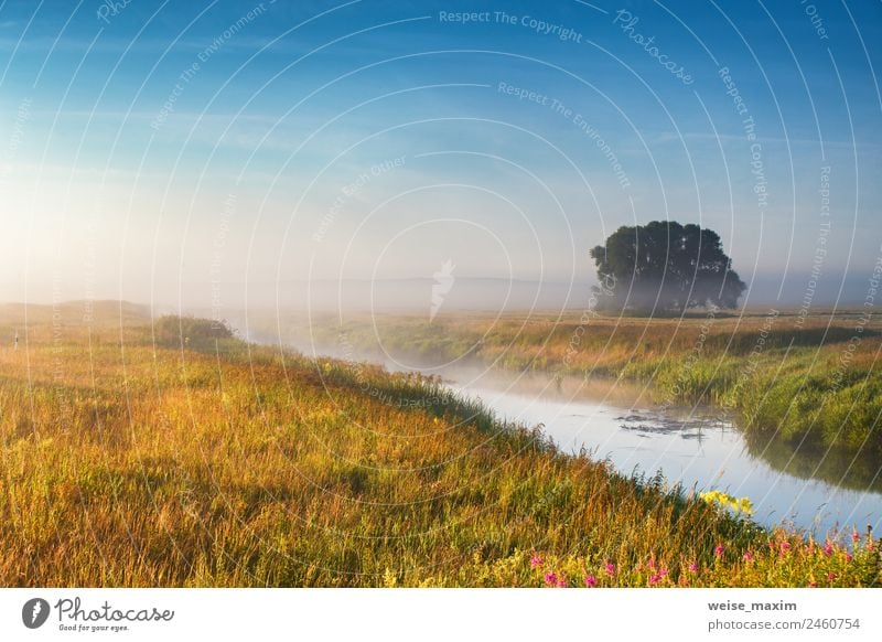 Foggy river in the morning. Summer misty sunrise Vacation & Travel Sun Nature Landscape Drops of water Sky Clouds Sunrise Sunset Autumn Climate Weather