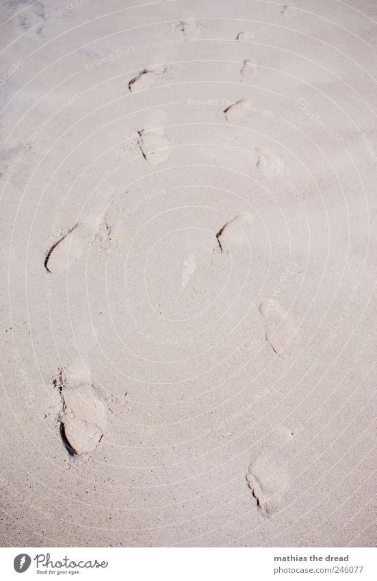 DENMARK - XV Sand Summer Beautiful weather Beach Desert Footprint Feet Walking To go for a walk Walk on the beach Couple 2 Dented Sunbathing Summer vacation