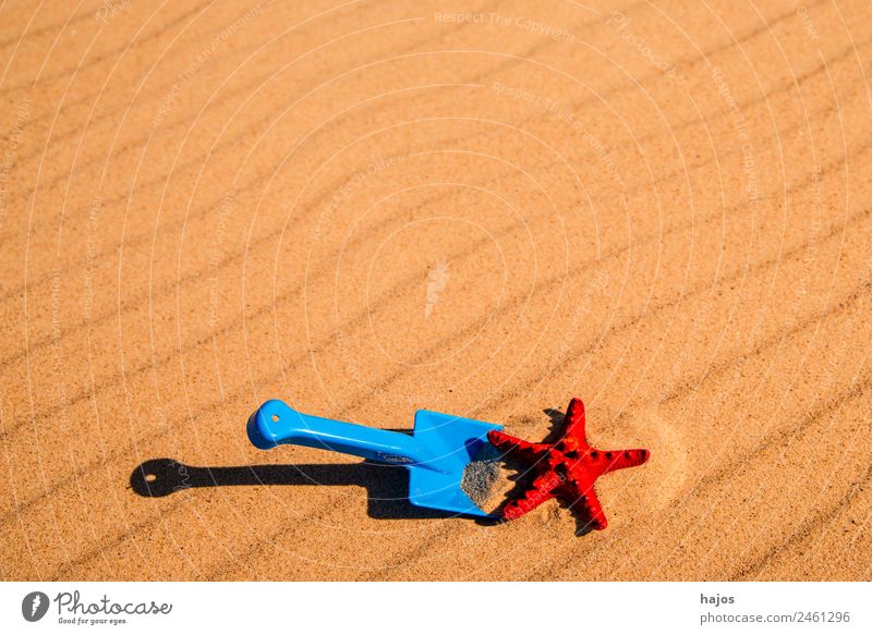 Shovel and starfish on the beach Joy Relaxation Vacation & Travel Summer Beach Child Sand Yellow Tourism Toys Starfish Sandy beach Red Blue Playing play in sand