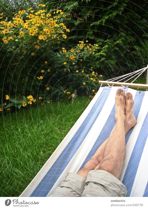 hammock Relaxation Break Restful Legs Feet Hammock Lie Couch Calm City life Garden Garden plot Copy Space Colour photo Sleep Tibia Tilt