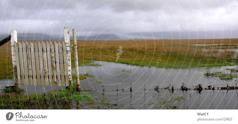 South Iceland Bad weather Fence Barbed wire Clouds Meadow Green Europe Landscape Water