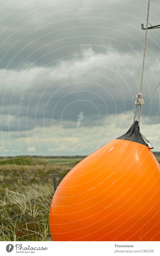 Characters + Symbols: The orange trumpet Vacation & Travel Trip Summer Summer vacation Environment Nature Landscape Clouds Bad weather Grass Denmark Navigation