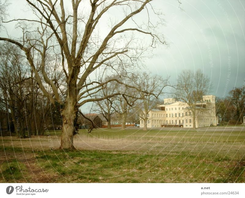 Steinhöfel Castle Märkisch-Oderland district Park Tree Steihöfel Castle Lenné Landscape Park State of Brandenburg