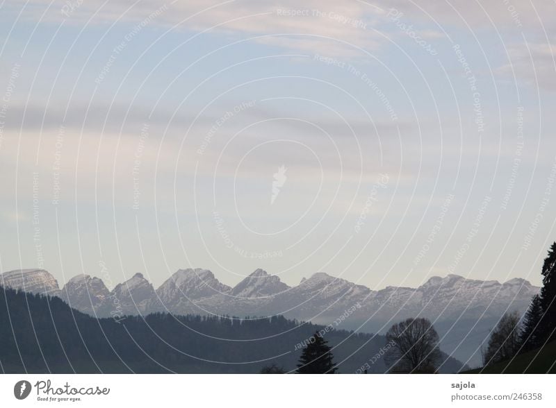 heavenly views Environment Nature Landscape Plant Sky Alps Mountain Churfirsten Snowcapped peak Esthetic Contentment Delicate Colour photo Subdued colour