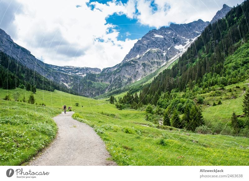 Hiking trail through a valley in South Tyrol Day Beautiful weather Clouds Nature Green Tree Forest Mountain Idyll Vacation & Travel Travel photography