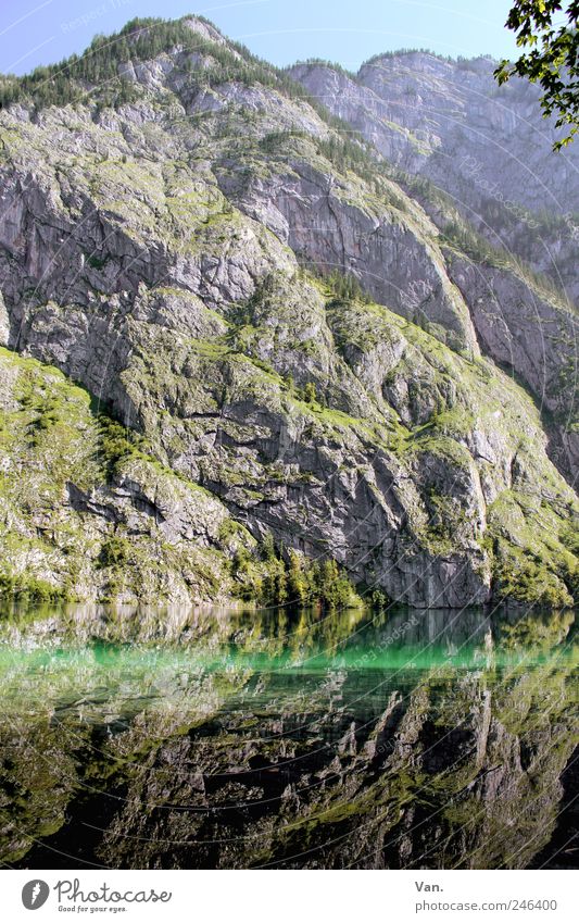 mountain lake Contentment Relaxation Calm Vacation & Travel Trip Summer Mountain Nature Landscape Beautiful weather Grass Bushes Rock Alps Peak Lake