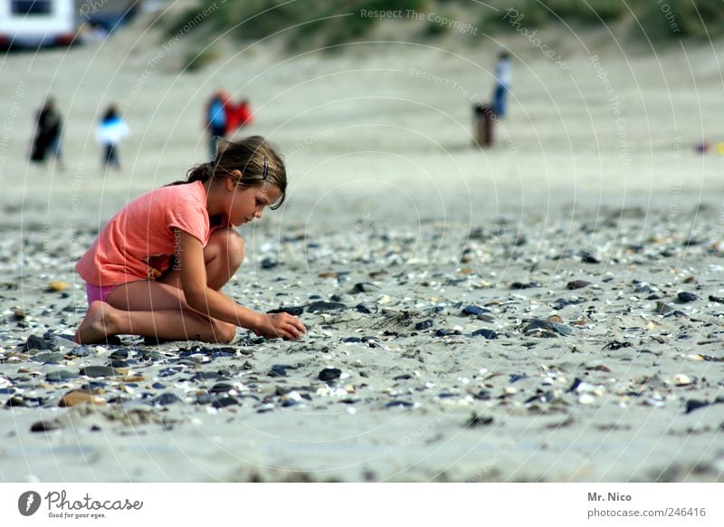 discover your world Summer Summer vacation Ocean Girl Environment Nature Sand Climate Weather Coast North Sea Island Touch Kneel Flotsam and jetsam Mussel