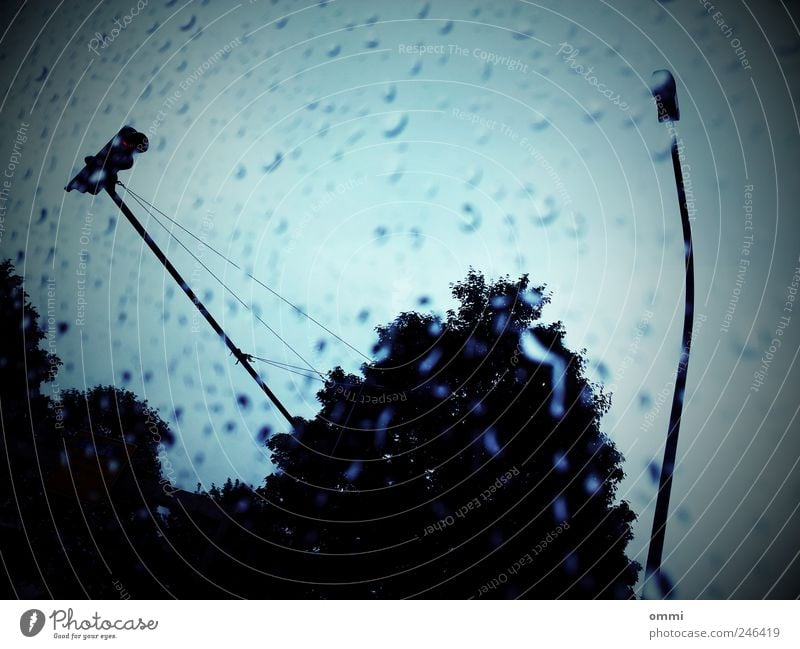 Rain on the window Landscape Drops of water Sky Bad weather Tree Motoring Traffic light Glass Dark Cold Wet Gloomy Blue Vignetting Subdued colour Interior shot