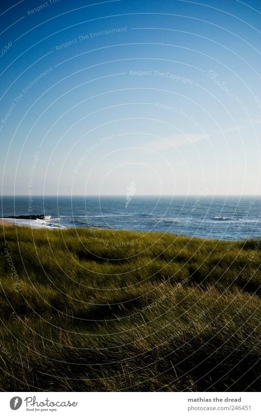 DENMARK - XVI Environment Nature Landscape Water Sky Clouds Horizon Summer Beautiful weather Wind Plant Grass Moss Wild plant Meadow Waves Coast Beach Ocean