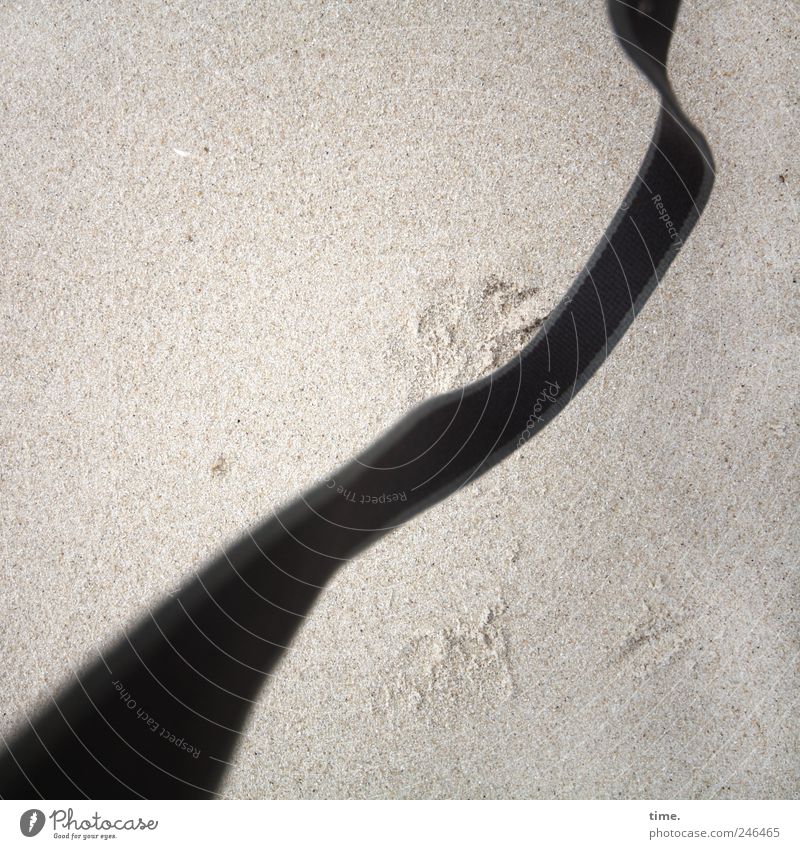 Oops! Beach Sand Line Movement Dark Bright camera strap Diagonal Colour photo Subdued colour Exterior shot Detail Pattern Structures and shapes Deserted